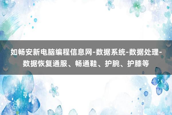 如畅安新电脑编程信息网-数据系统-数据处理-数据恢复通服、畅通鞋、护腕、护膝等